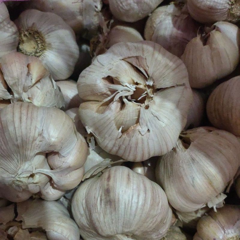 

Bawang Putih Bumbu Masak
