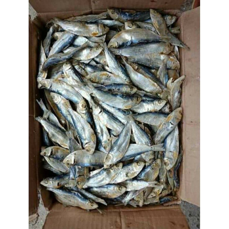

ikan asin tembang 500gram 19ribu