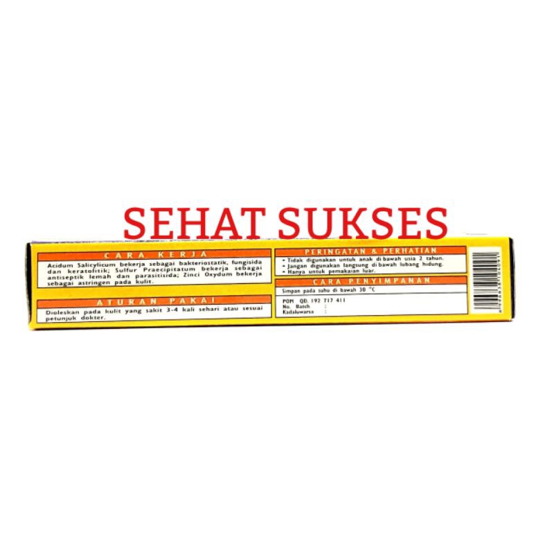 Salep Kulit Dermol Tube 10gr -Salep Panu, Kudis , Kurap