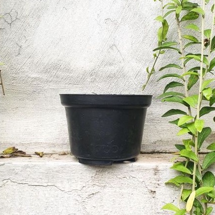 Pot Bunga Plastik 17 kecil / Pot Plastik 17 kecil
