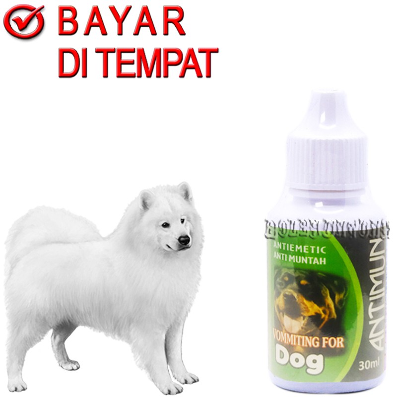 ANTIMUN DOG OBAT MUNTAH ANJING SAKIT PERUT PENCERNAAN
