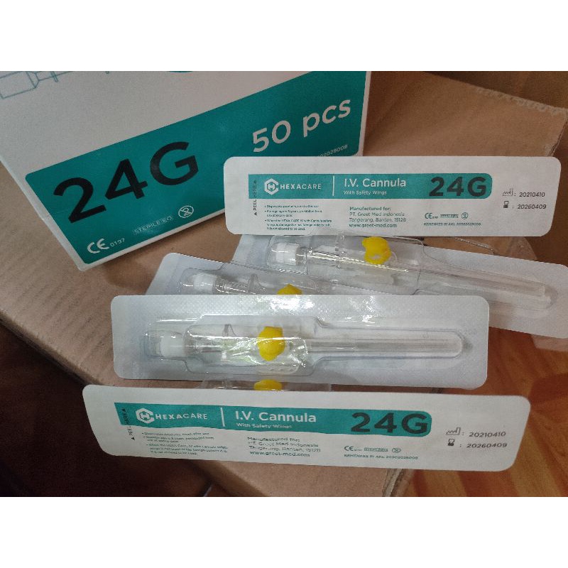 abocath 24 bersayap with injection
