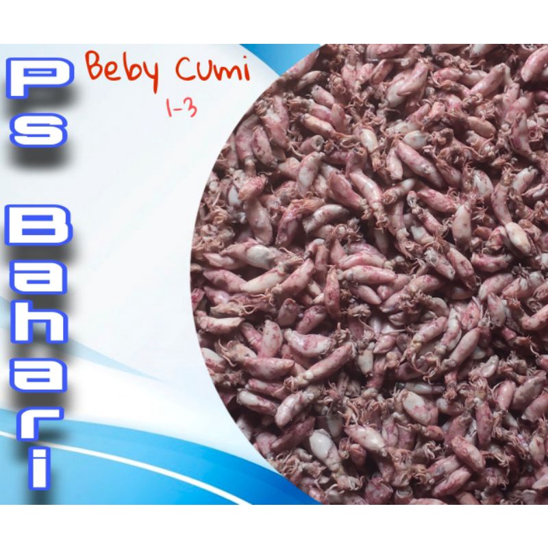 

BABY CUMI ASIN 0,5-2 CM 1 - 3 CM (100 GRAM) / CUMI MINI SUPERMINI