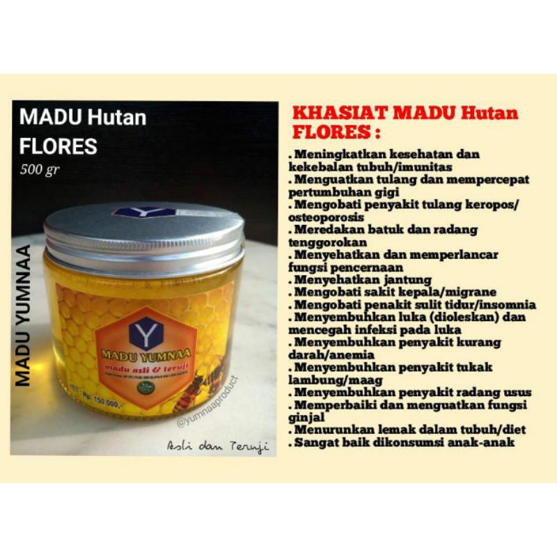 

Madu Hutan Flores Madu Yumnaa Asli dan Teruji