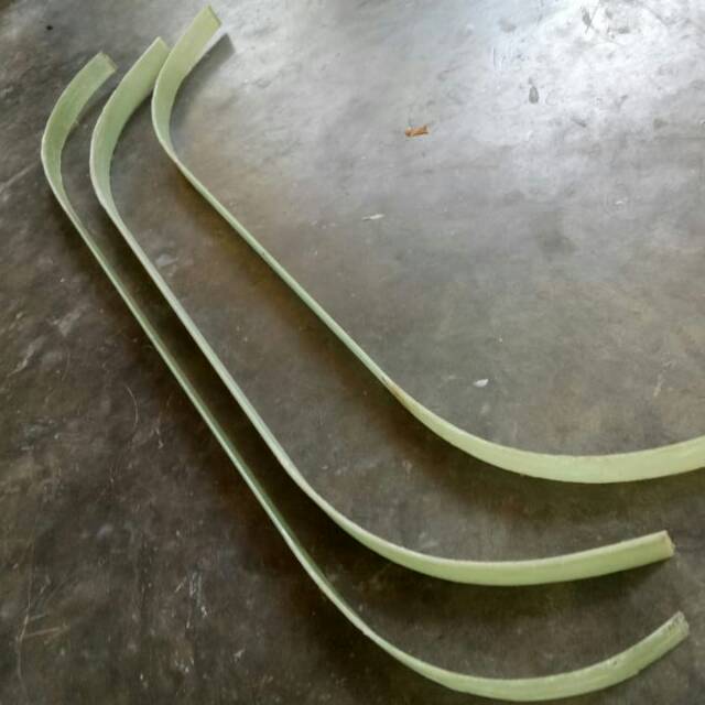 Efg bending