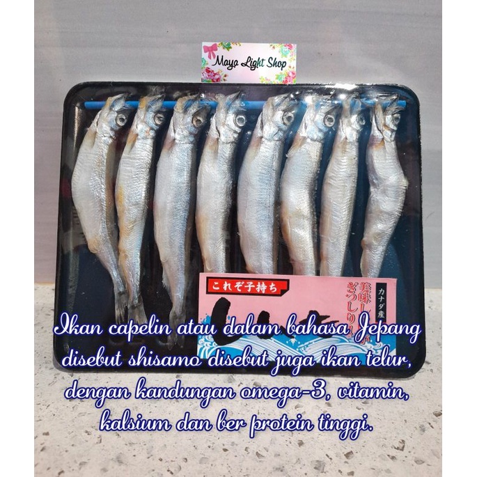 

ikan capelin shisamo fish ikan telur halal egg fish roe omega vitamin murah