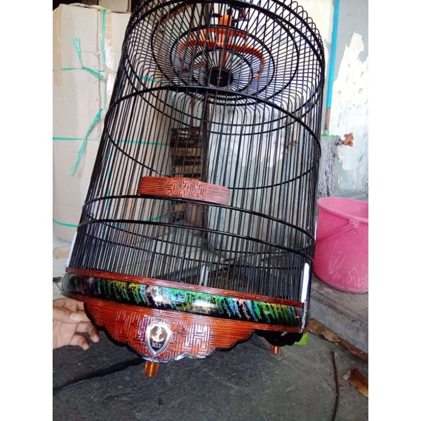 sangkar murai no. 3 kandang murai batu variasi burung sangkar murai batu sangkar burung kandang