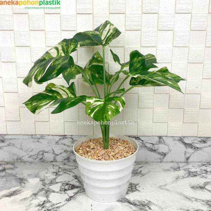 Pohon Artificial Palsu Daun Monstera Variegata Pot Ulir Plastik Cantik