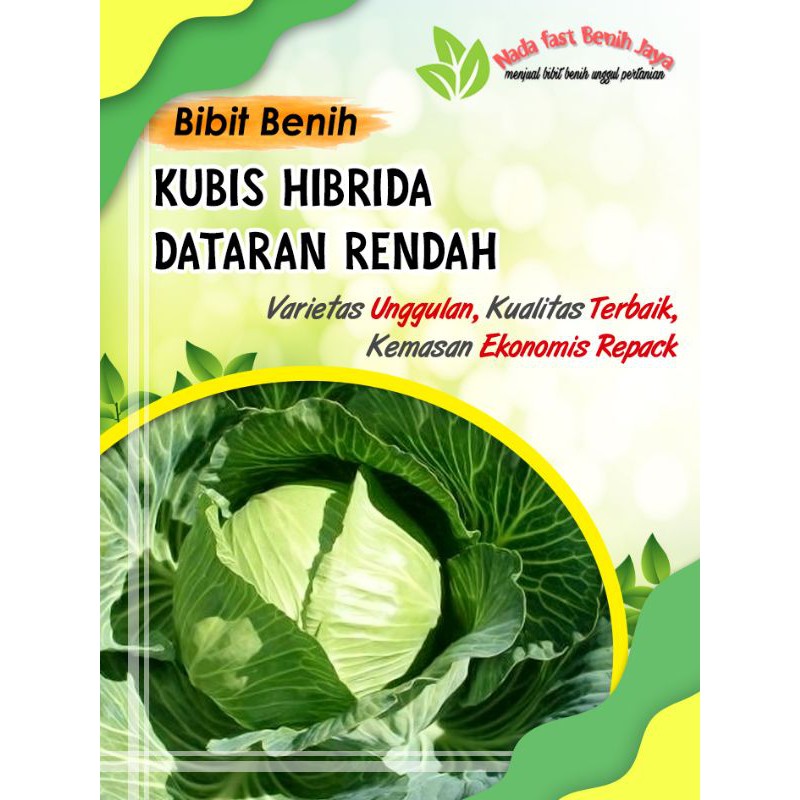 15 biji benih Kubis Hibrida dataran rendah - bibit kubis hijau