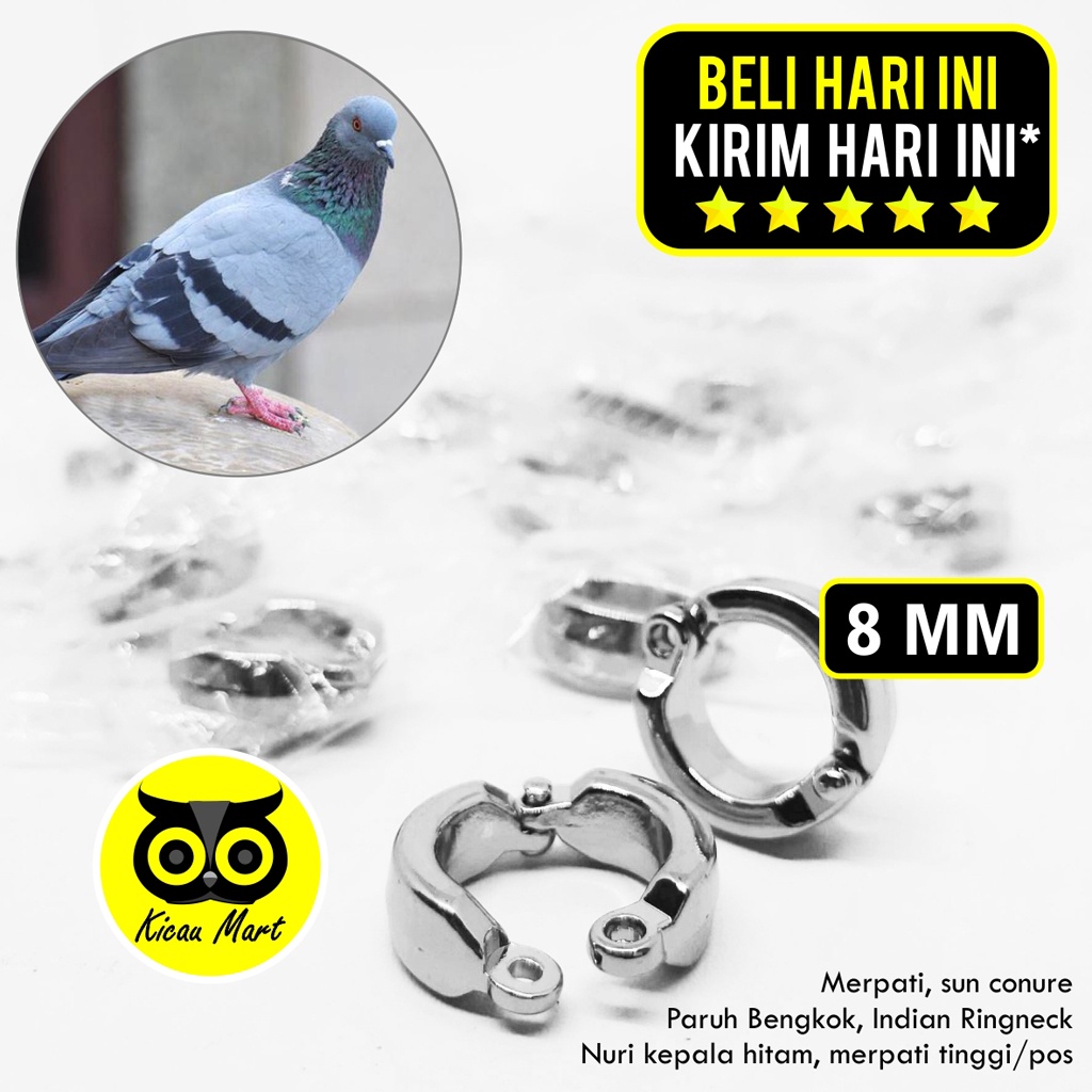 RING KAKI BURUNG STAINLESS STEEL 8 MM RING GELANG MERPATI DARA SUNCONURE NURI RANTAI TRAINING RCG8MM