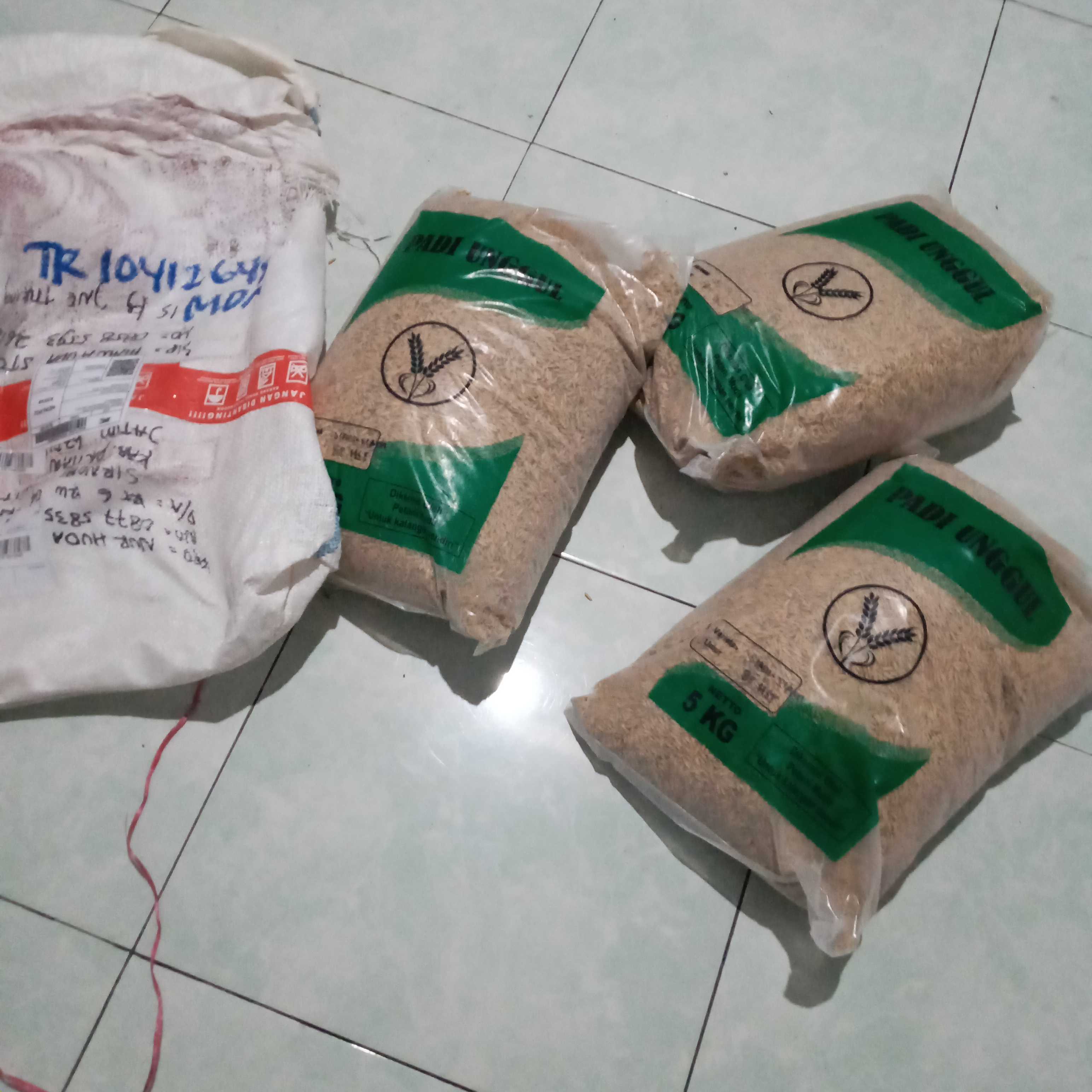 Benih Padi Siam - Siam Bibit Unggul