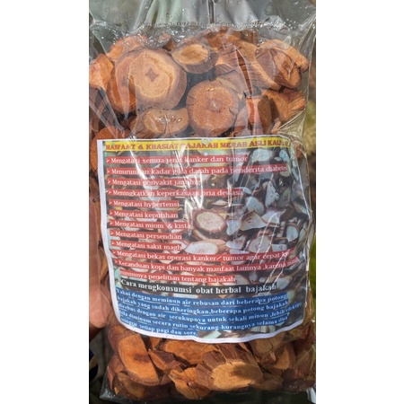 

AKAR BAJAKAH