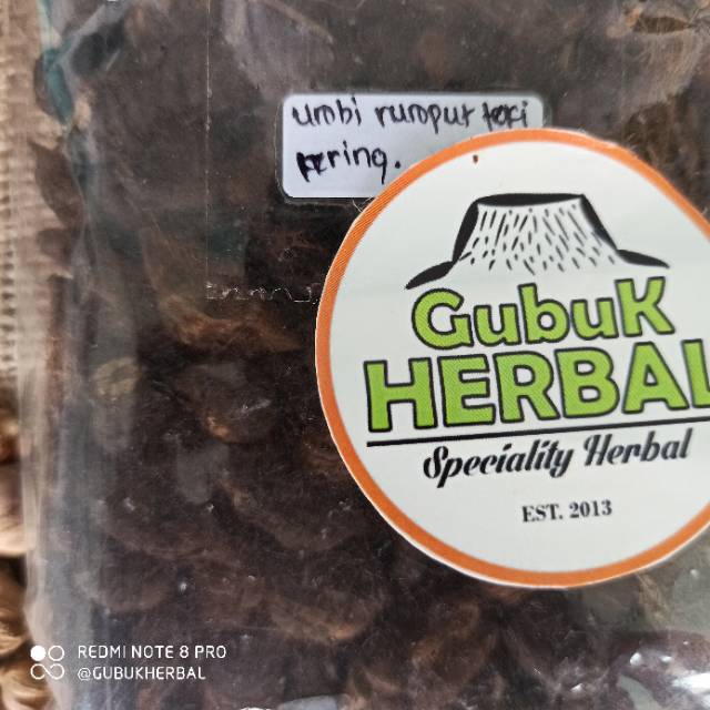 

UMBI RUMPUT TEKI KERING 100 GRAM - Cyperus Rotundus - MURNI - JS
