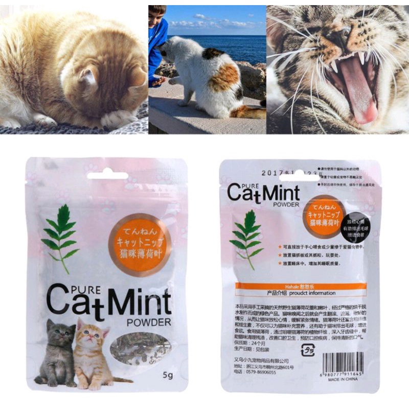 Catnip Camilan Kucing Catmint Menthol Snack Makanan Cat Kitten