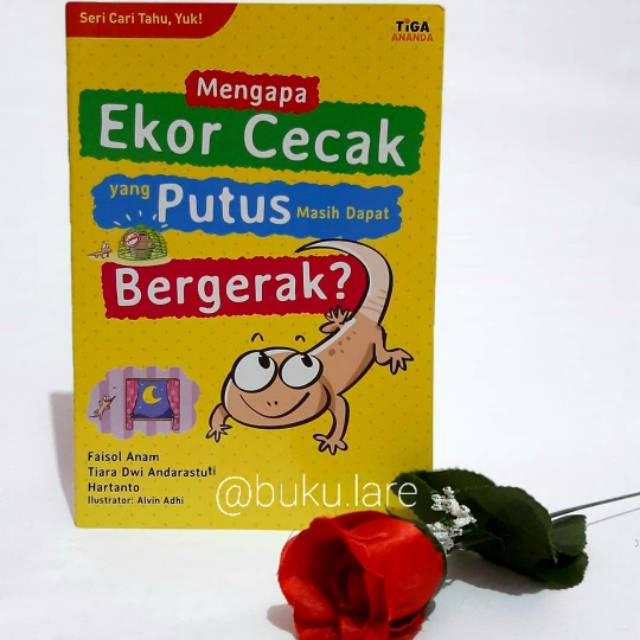 Buku Anak Tiga Ananda Serba 20.000