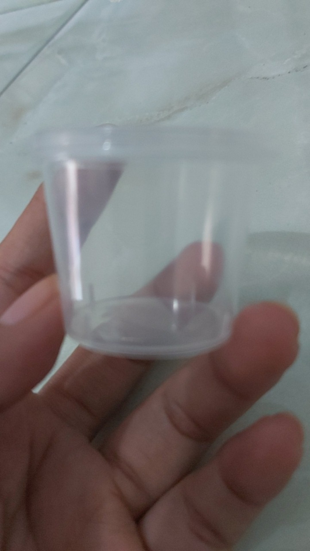 Cup Slime Klip Tempat Sambal Thinwall Sauce Mini Wadah Puding Mayonaise Sambel Saos 30 45 60 Ml