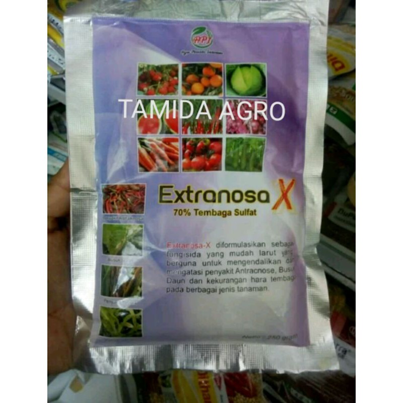 Fungisida Bakterisida EXTRANOSA-X Untuk Penyakit Antraknosa Tanaman Cabe