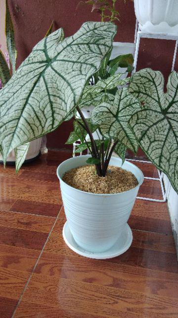 Wajan Stainless 30 Cm
