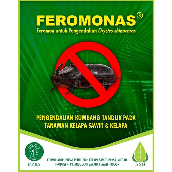 Feromonas Feromon Pengendali Hama Kumbang Tanduk