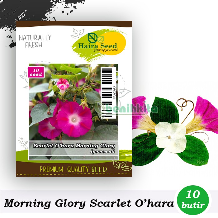 Benih-Bibit Bunga Morning Glory Scarlet O'hara (Haira Seed)