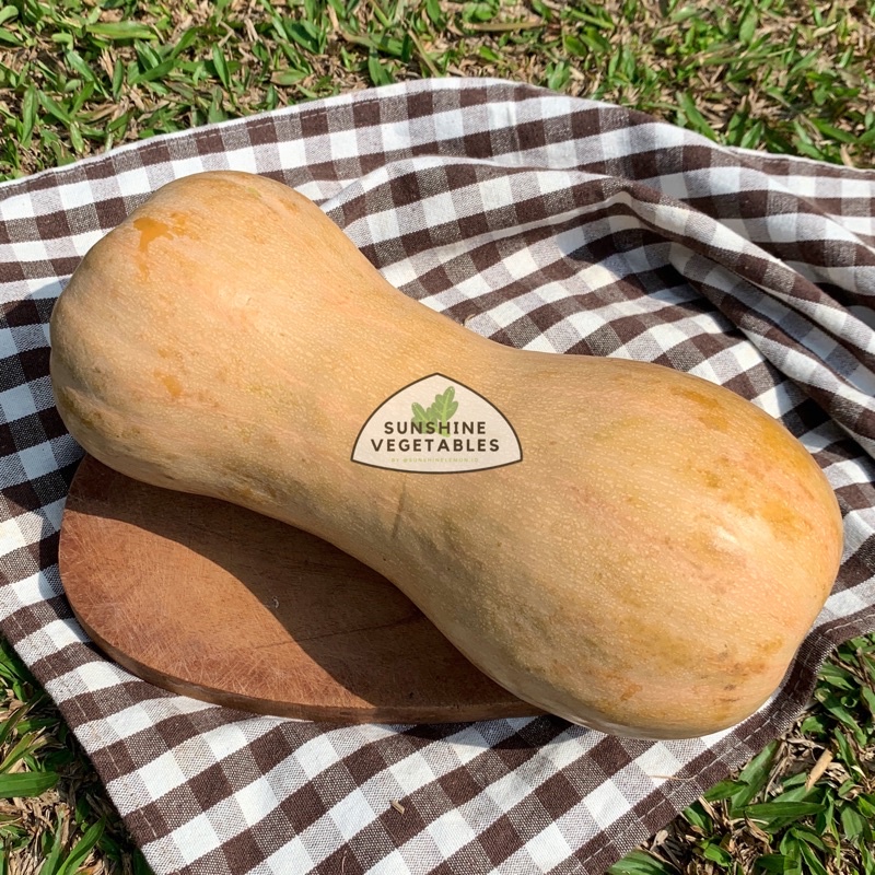 

BUTTERNUT SQUASH / LABU MADU