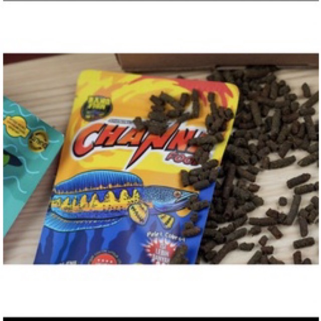 CHANNA FOOD BANG FISH AQUATIC