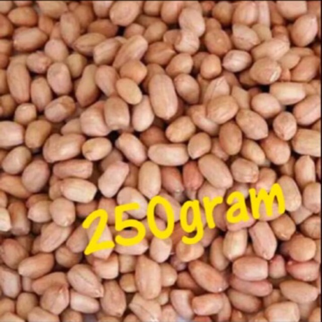 

KACANG TANAH 250gr