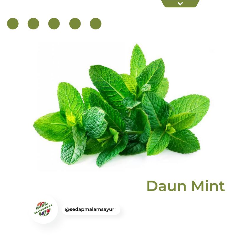 

DAUNMINT250gr/Mint/herbal