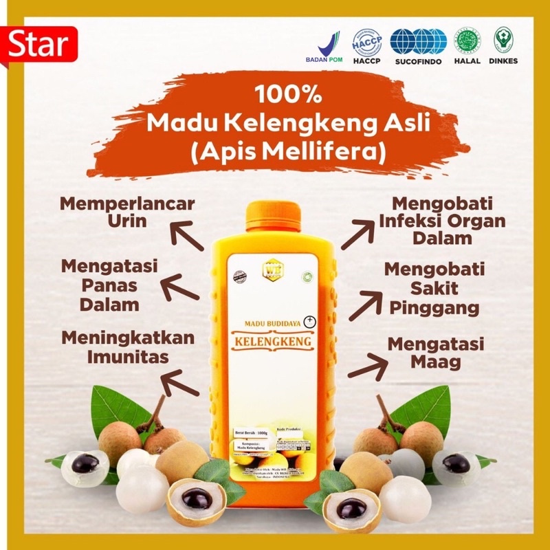 

[COD] Madu Kelengkeng / Lebah Apis Melifera -Garansi Murni & Asli 100-Wild Bee