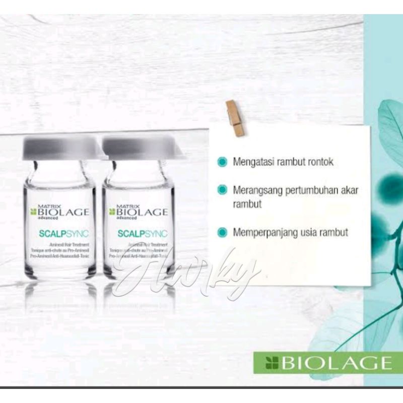 Matrix Biolage ScalpSync Aminexil matrix aminexil obat rambut rontok 1