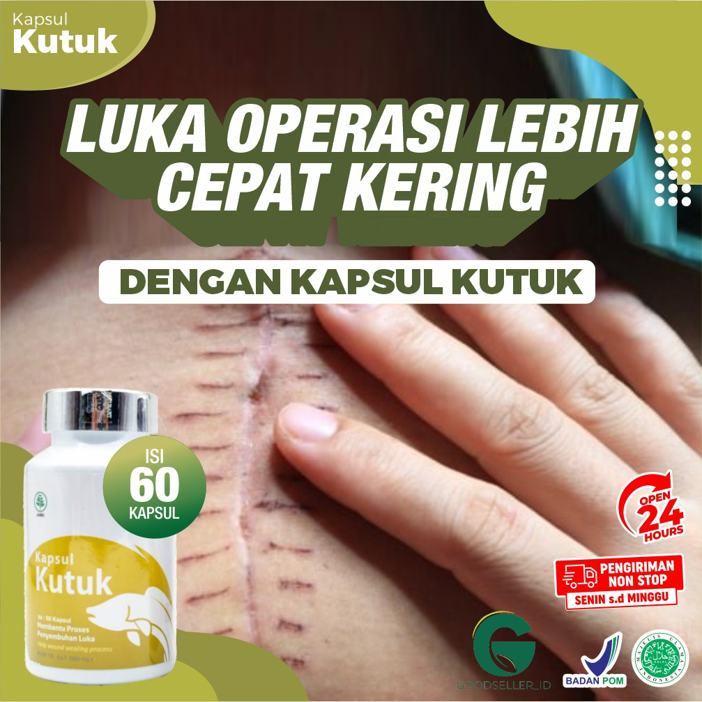 Original Kapsul Kutuk Ekstrak Albumin Ikan Gabus 5x Cepat Sembuh Luka Pasca Operasi Caesar Jahitan Diabetes Isi 60 Kapsul