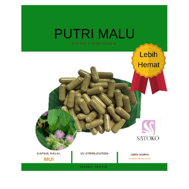 KAPSUL CURAH HERBAL PUTRI MALU ISI 100