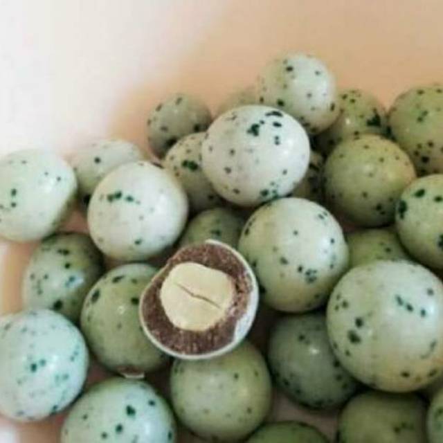 

COKLAT LAGIE PLANET KACANG TELUR PUYUH