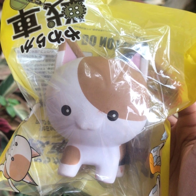 ibloom / iclap jumbo cat tanker