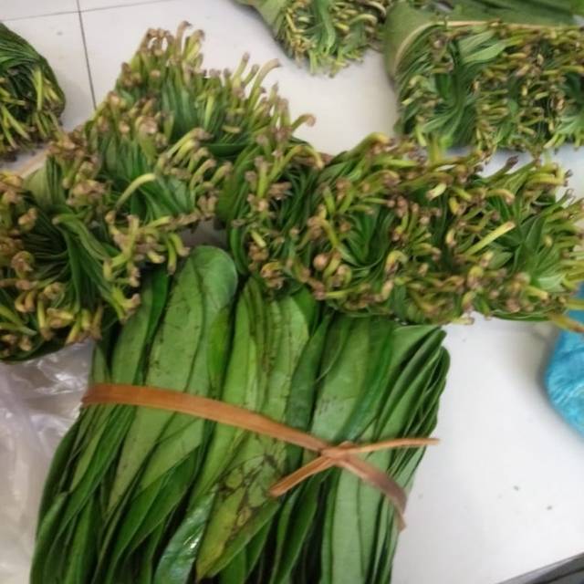 

Daun sirih