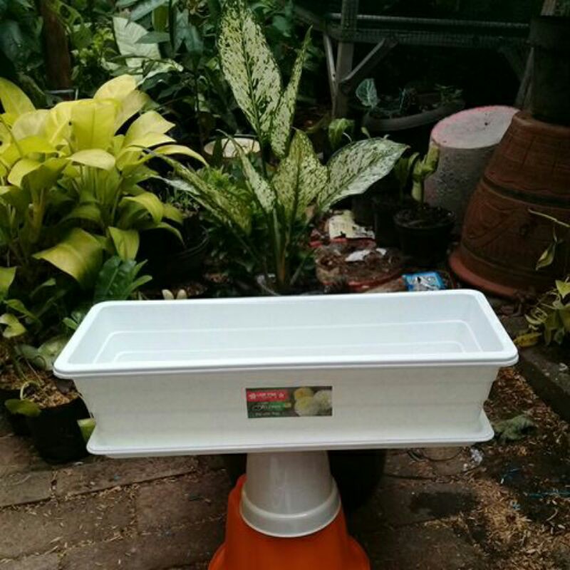 Pot TRIVETTO M lion star putih