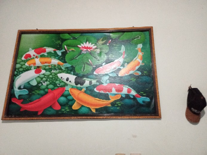 Lukisan Ikan Koi Fengshui 85 X 135 Cm