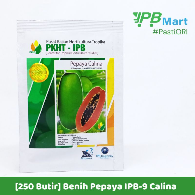 Benih Pepaya Calina/California isi 250 butir inovasi IPB 9 PKHT-1