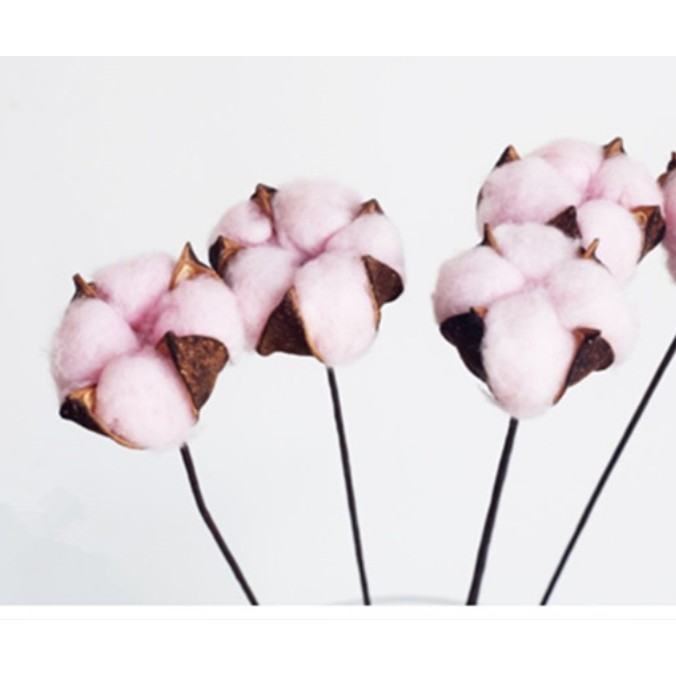 Cotton Flower Bunga Kapas Asli Single Stem Dekorasi Hiasan Bunga Artificial per tangkai-PINK