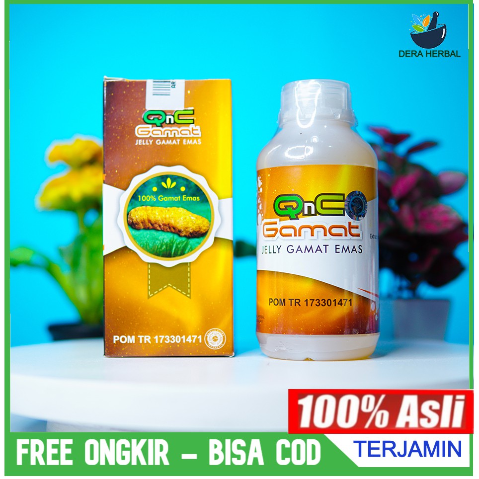 Obat untuk menjaga kesehatan tubuh menjaga imunitas tubuh Qnc Jelly Gamat Teripang Gold Original