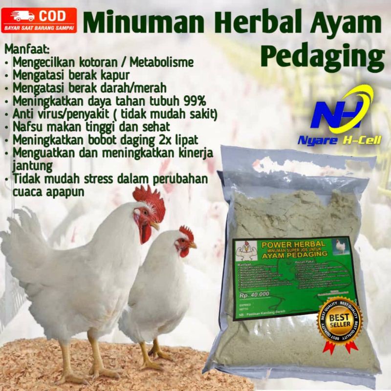 

Jamu Hebal Ayam Pedaging Nyeor Ejuh Penambah Kekebalan Tubuh Menambah Berat Badan Memperpadat Daging