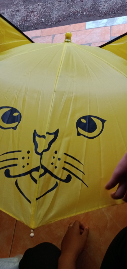 Payung Anak [ada Kuping] Model Hewan Warna-warni Lucu