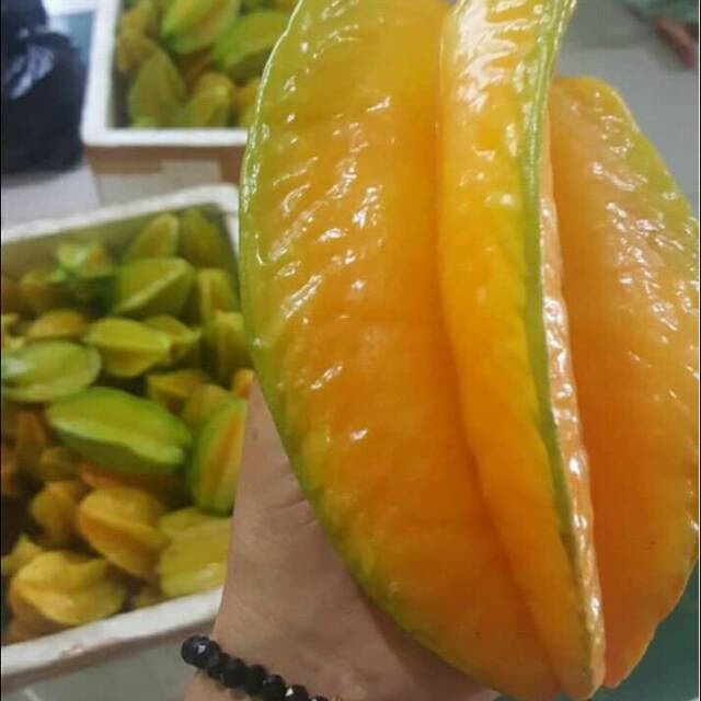 

Blimbing madu super