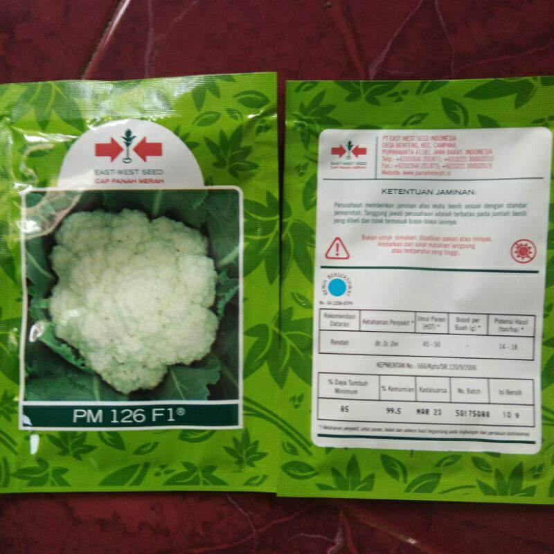 BENIH/BIBIT BUNGKOL/BUNGA KOL PM 126