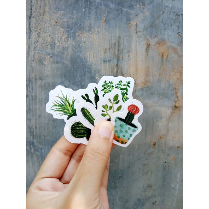 

Jaiko Sticker | Houseplant Design