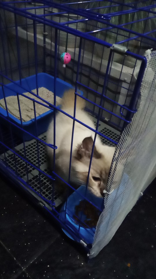 New Kemejapria Lengan Panjang Manggar Abu-abu