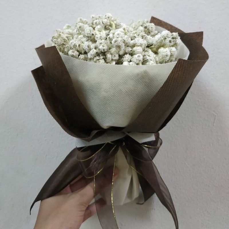 buket edelweis dried flower bunga kering (buket edelweis wrap)