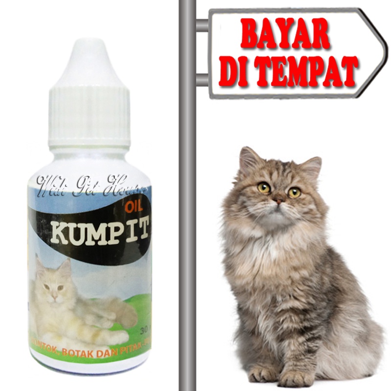 Obat Tumbuh Bulu Kucing Pitak Botak Kumpit Oil