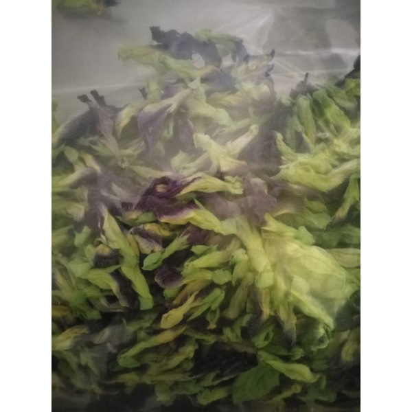 

bunga telang / butterfly kering
