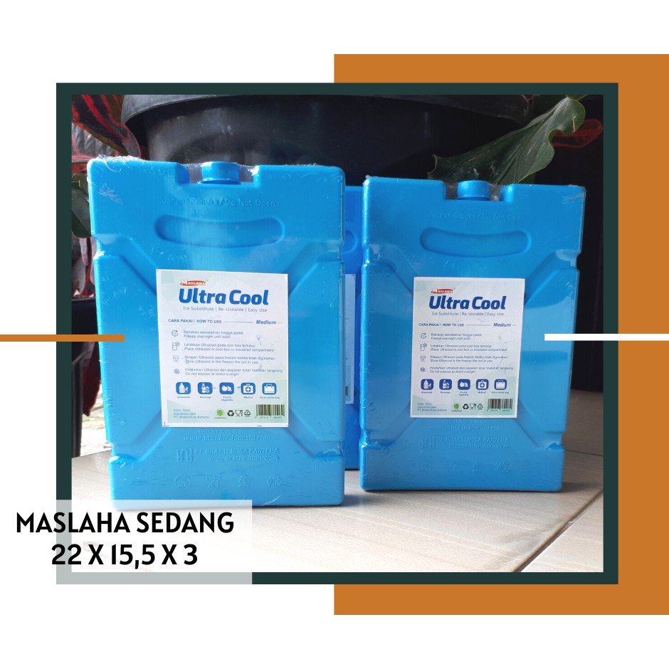 blue ice packs for coolers